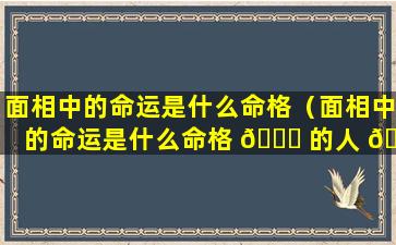 面相中的命运是什么命格（面相中的命运是什么命格 🕊 的人 🐧 ）